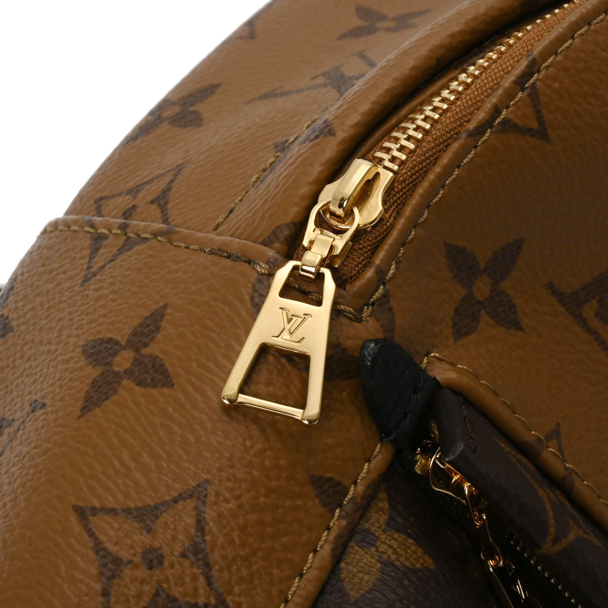 LOUIS VUITTON Monogram Reverse Palm Springs Mini M44872