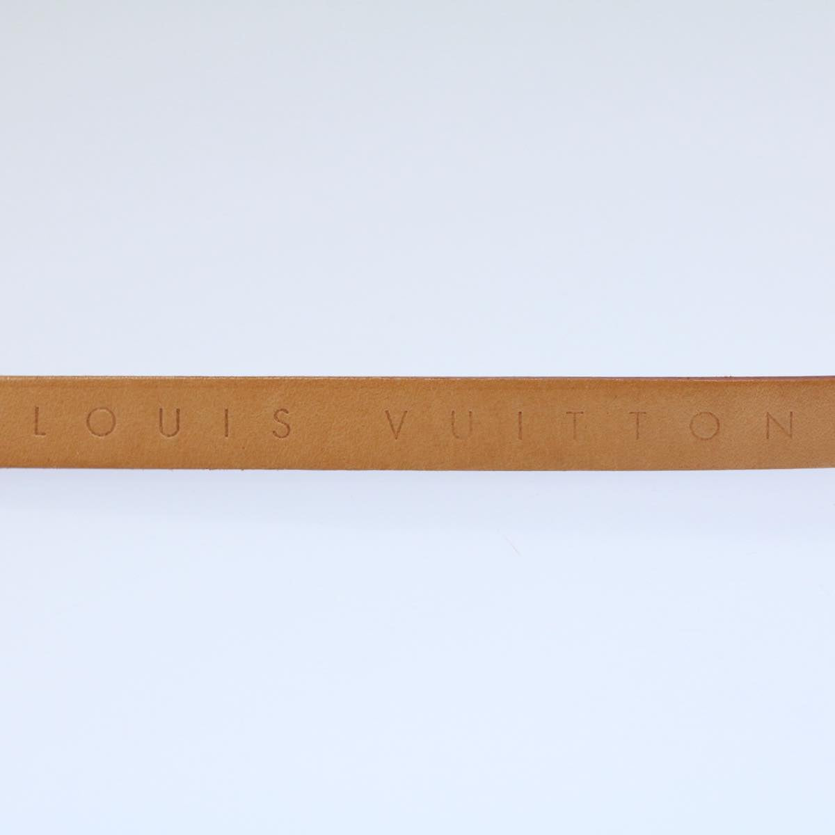 LOUIS VUITTON Adjustable Shoulder Strap For Pochette Florentine am5017