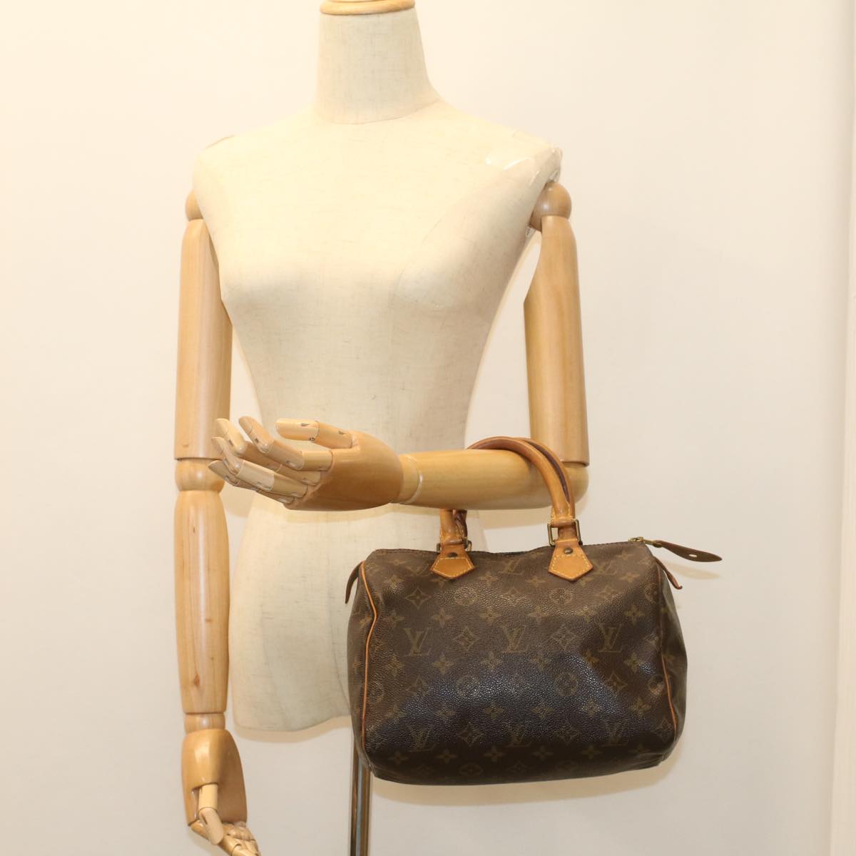 LOUIS VUITTON Monogram Speedy 25 Hand Bag M41528 LV am5060