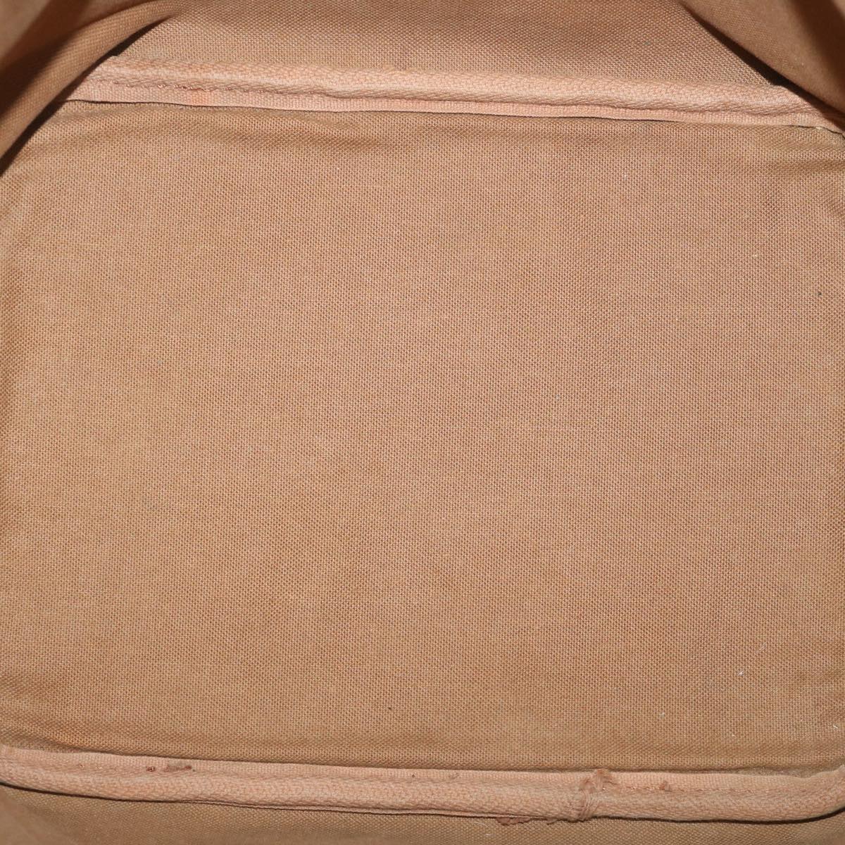 LOUIS VUITTON Monogram Petit Noe Shoulder Bag M42226 LV am5088