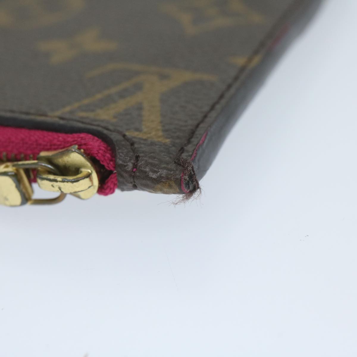 LOUIS VUITTON Monogram Neverfull PM Pouch LV am5578
