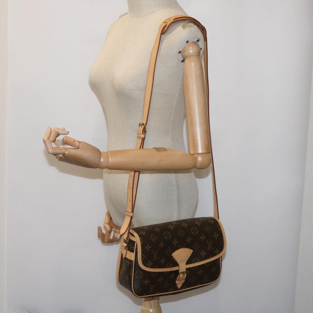 LOUIS VUITTON Monogram Sologne Shoulder Bag M42250 LV am5899A