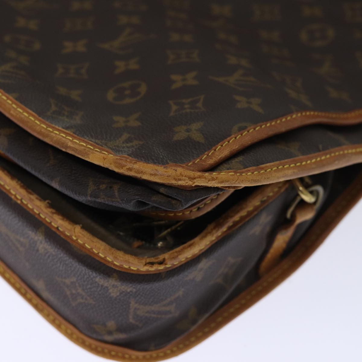 LOUIS VUITTON Monogram Portable Cabin Garment Cover M23420 LV am6163
