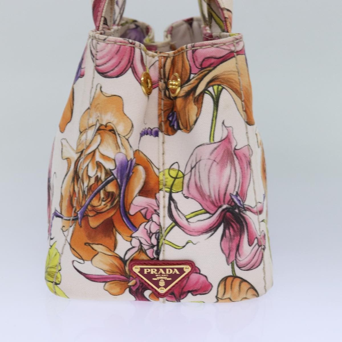 Luxury Prada Flower Pattern Canapa PM Hand Bag Canvas 2way Multicolor  ar12288