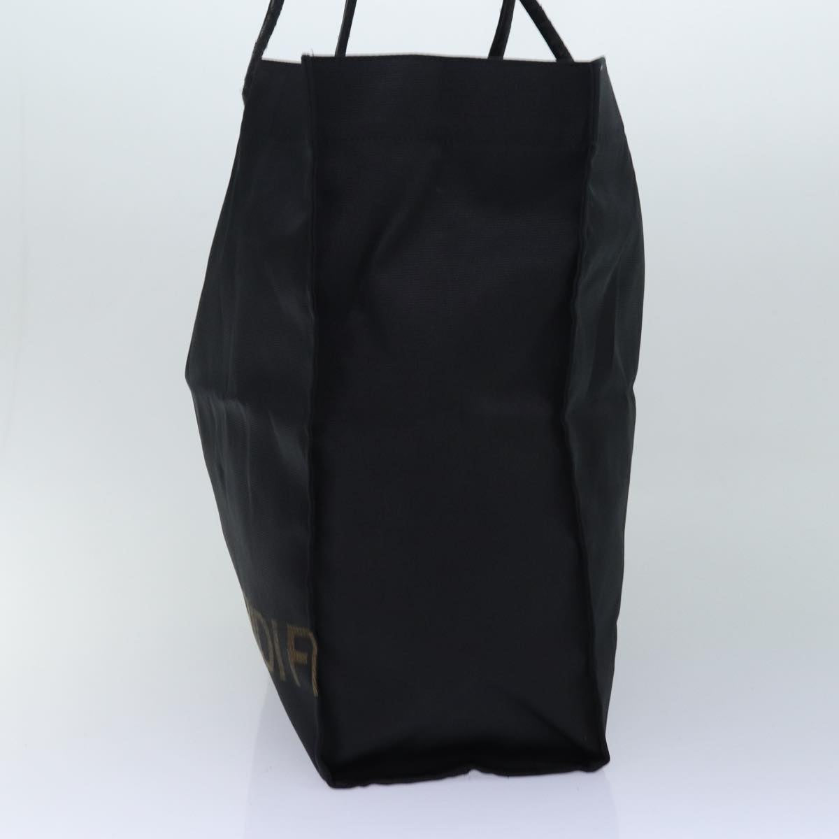 Luxury Fendi Tote Bag Nylon Black Goldar12397