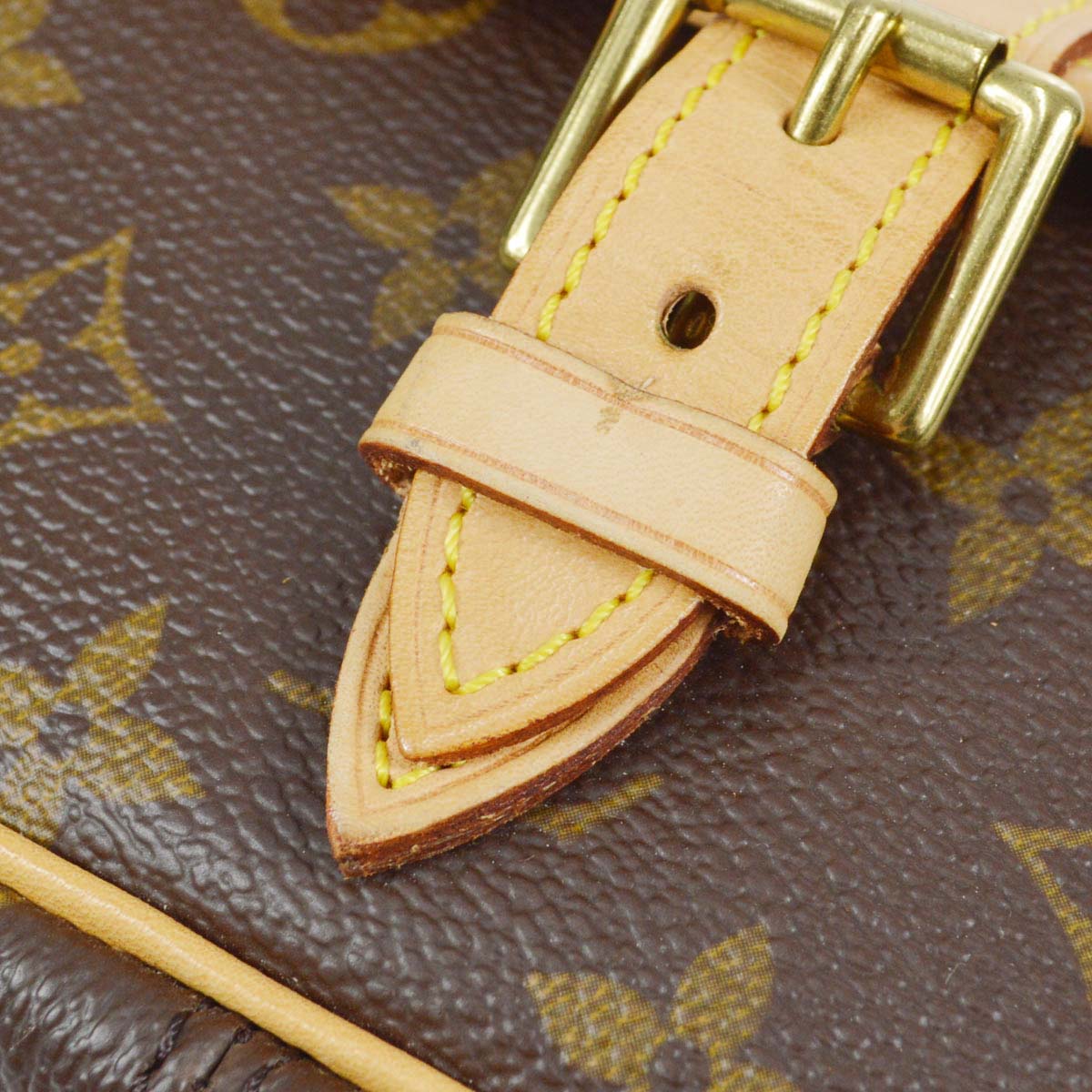 Louis Vuitton 2002 Monogram Sologne M42250