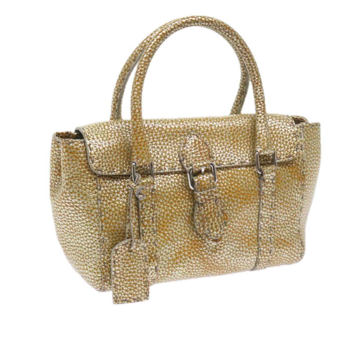 Luxury FendiHand Bag Leather Gold Tonebs10423