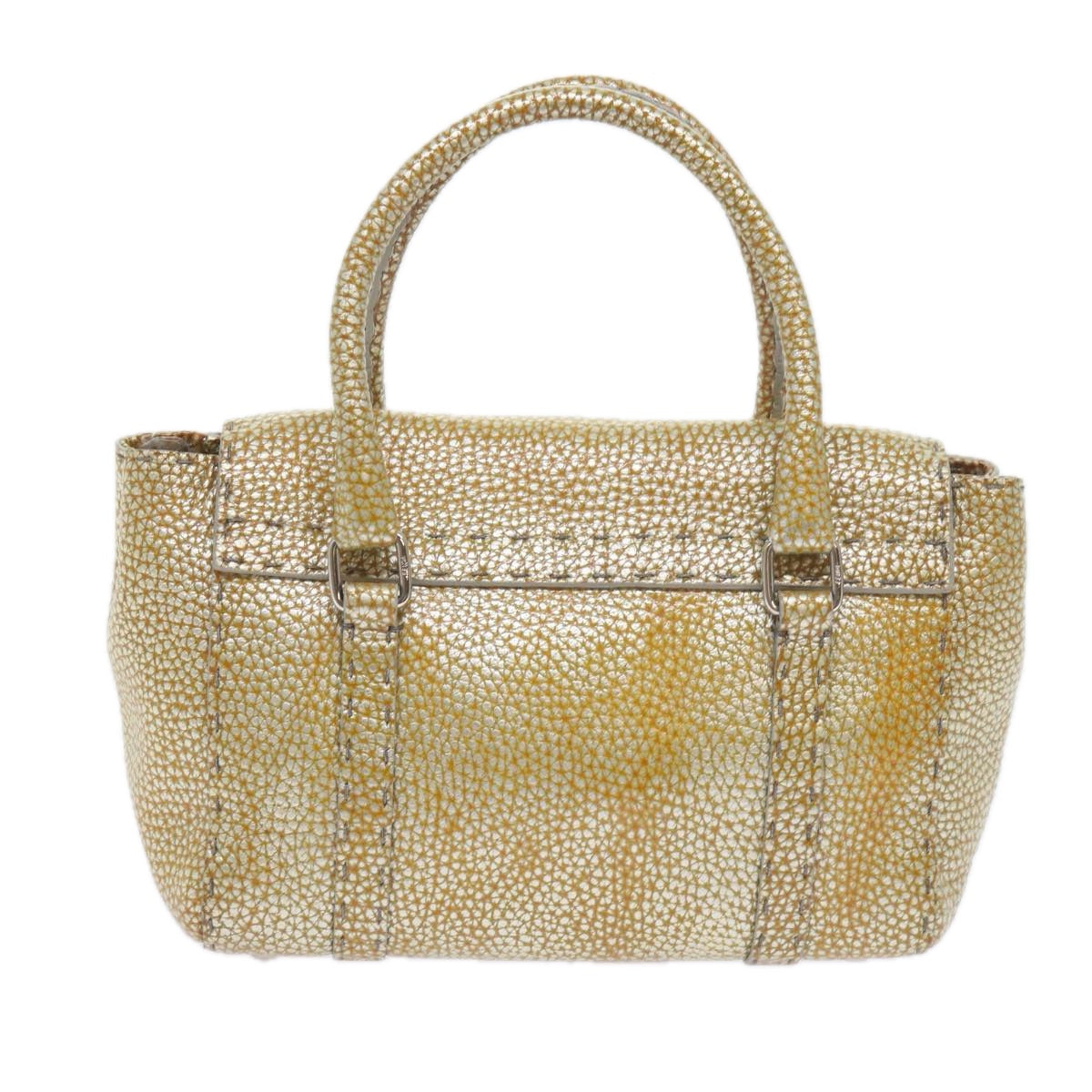 Luxury FendiHand Bag Leather Gold Tonebs10423