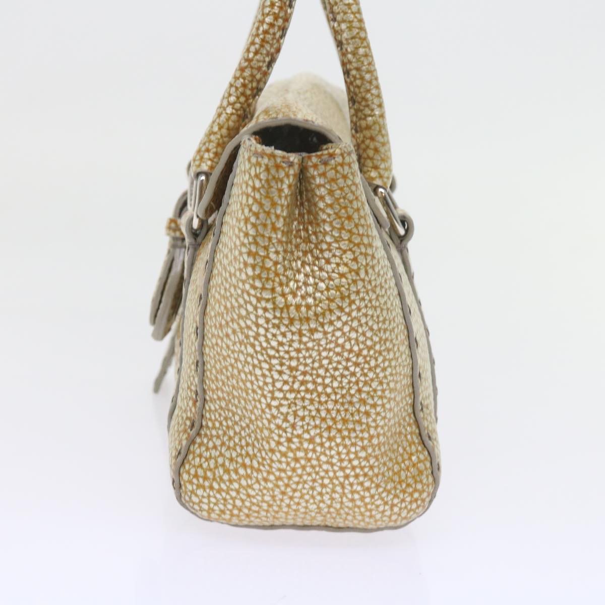 Luxury FendiHand Bag Leather Gold Tonebs10423