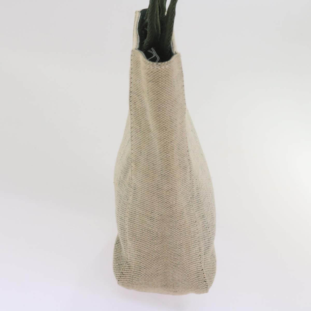 Luxury PradaSports Hand Bag Canvas Green Beige bs12012