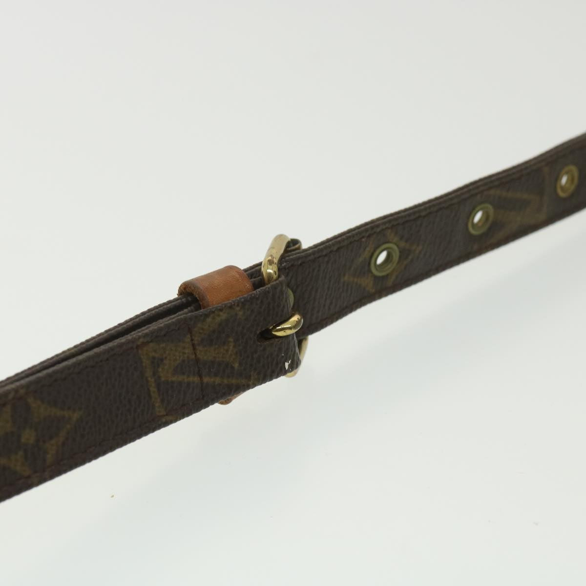 LOUIS VUITTON Monogram Nile Shoulder Bag M45244 LV bs3551