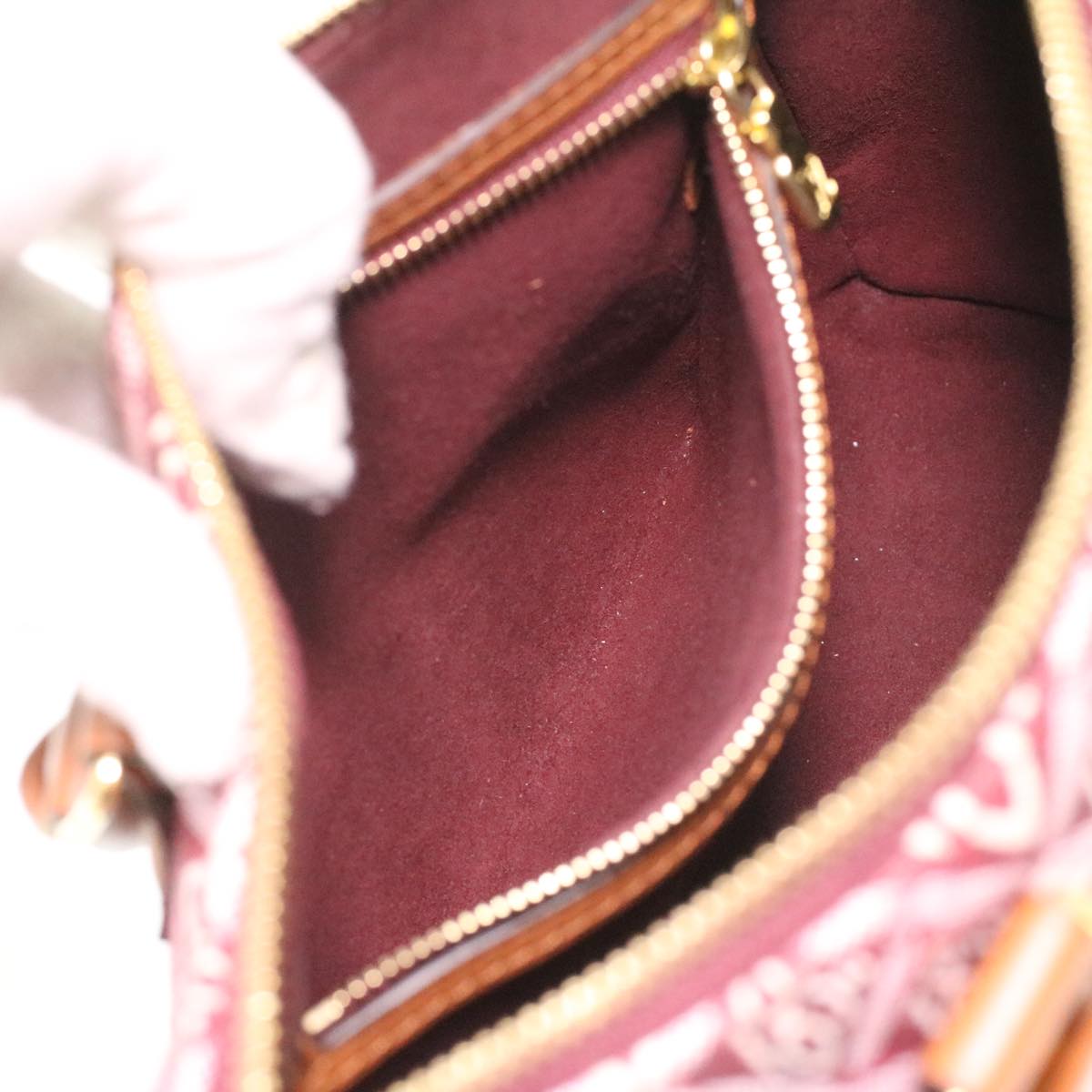 LOUIS VUITTON Jaguar Bandouliere 25 Hand Bag Since 1854 Bordeaux M57231 bs3638A