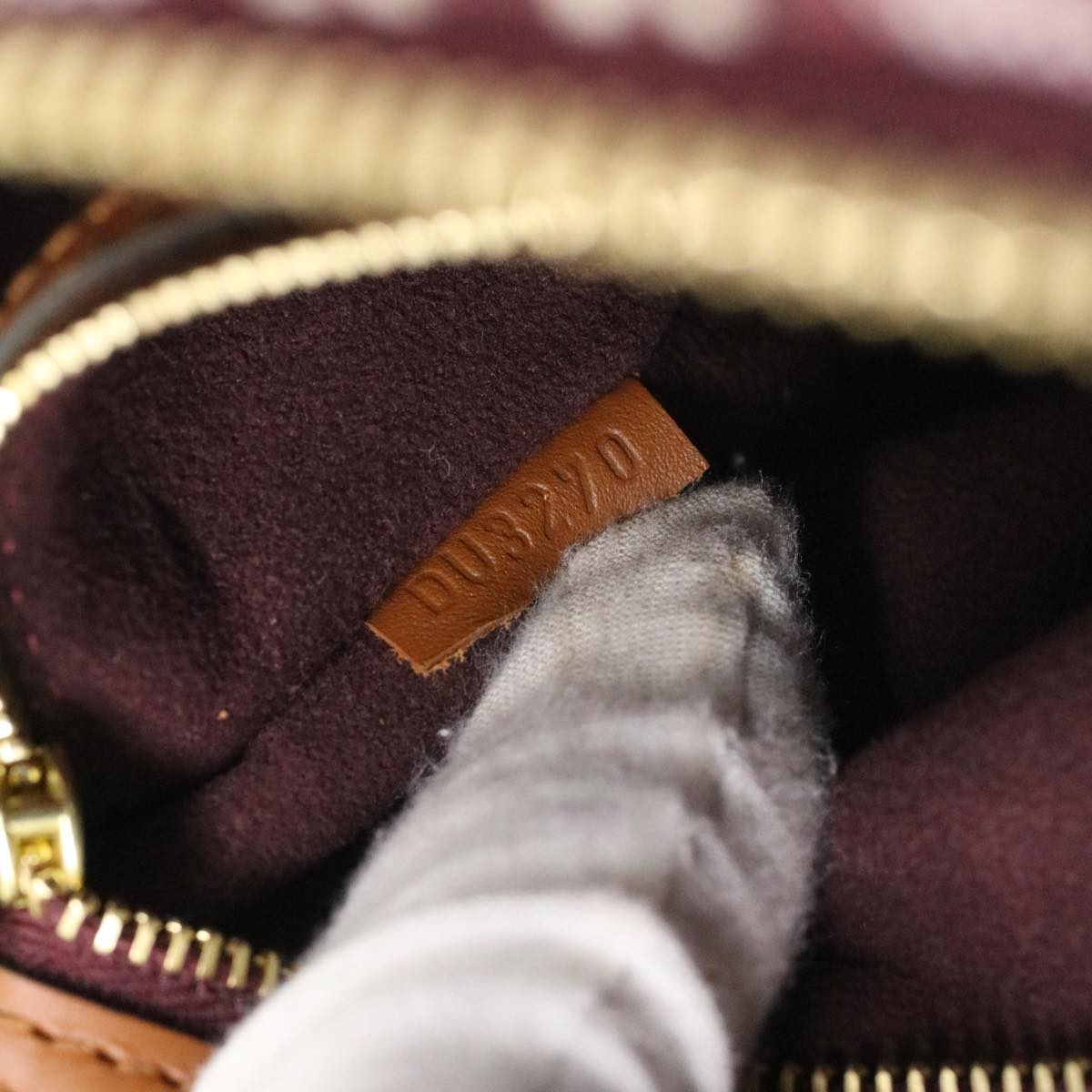 LOUIS VUITTON Jaguar Bandouliere 25 Hand Bag Since 1854 Bordeaux M57231 bs3638A