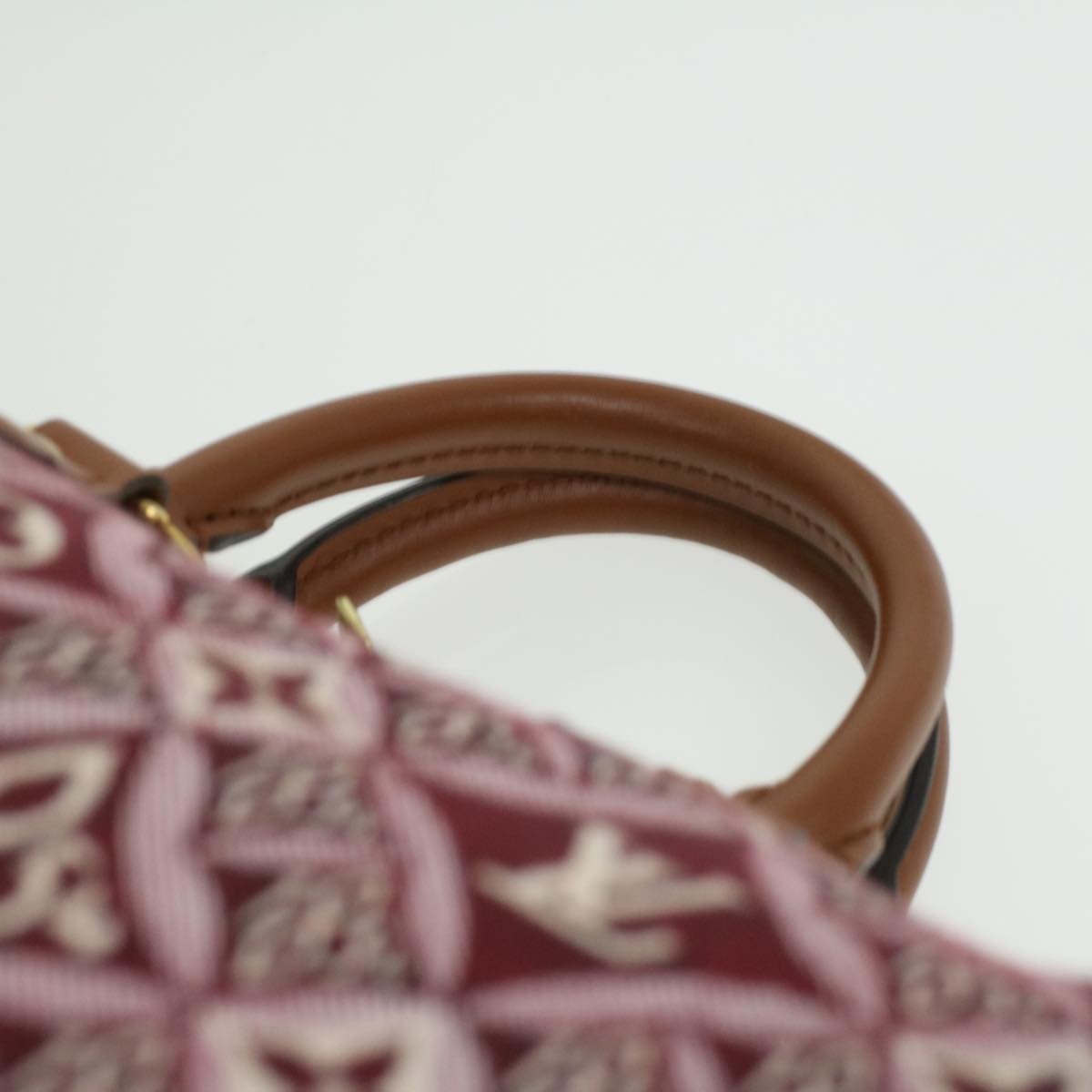 LOUIS VUITTON Jaguar Bandouliere 25 Hand Bag Since 1854 Bordeaux M57231 bs3638A