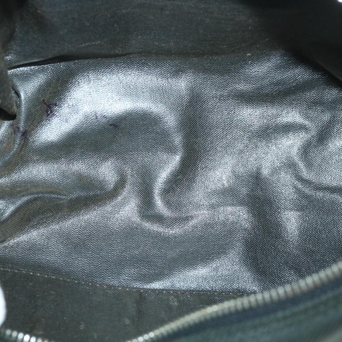 LOUIS VUITTON Taiga Parana Clutch Bag Epicea M30752 LV bs8270