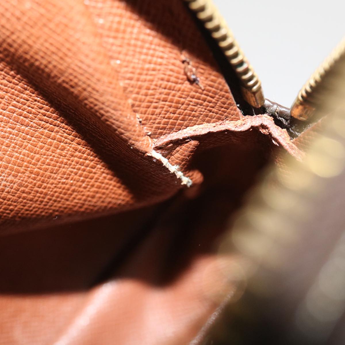 LOUIS VUITTON Monogram Amazon Shoulder Bag M45236 LV bs8903