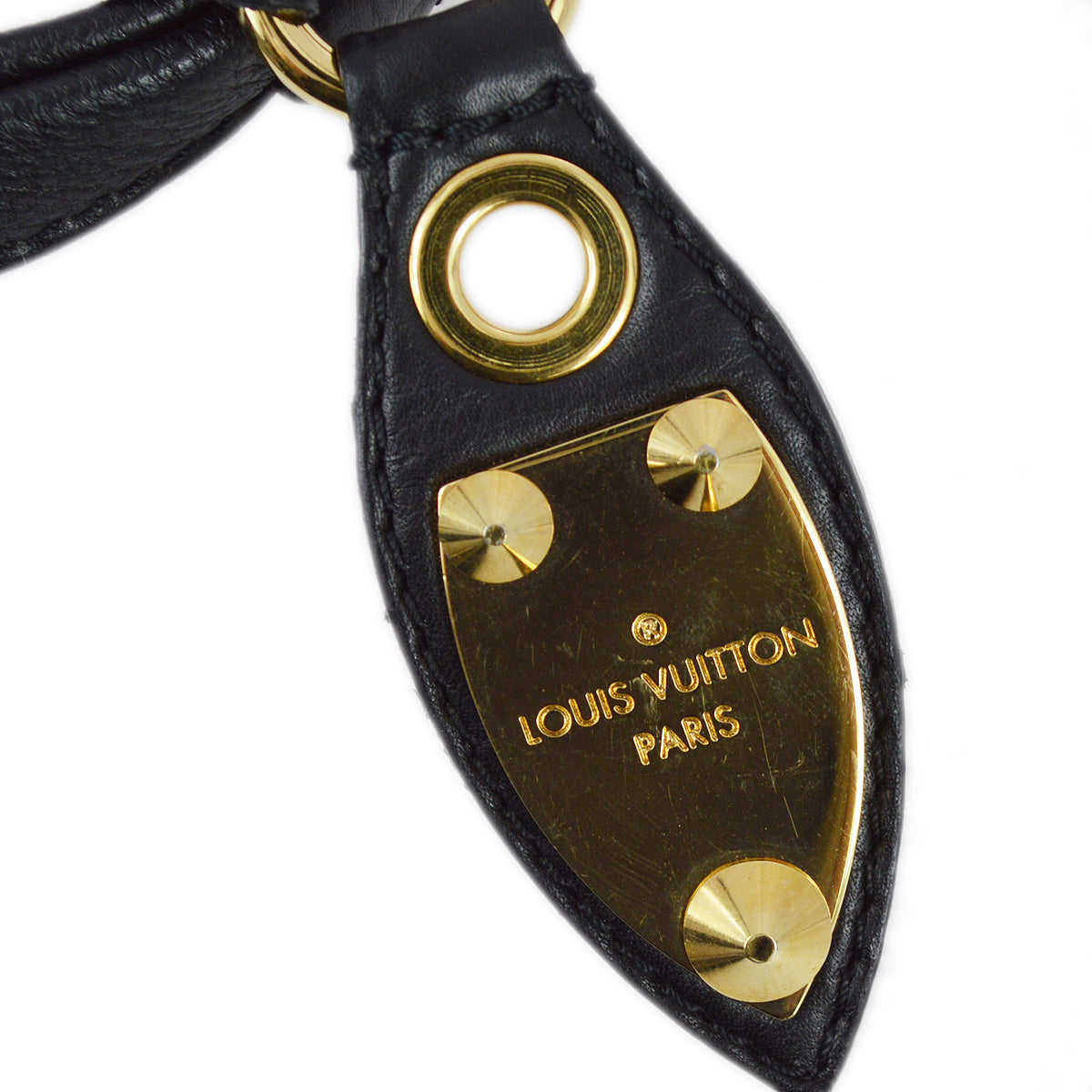 Louis Vuitton 2009 Eclipse Mini Pochette Accessoires Handbag M60125