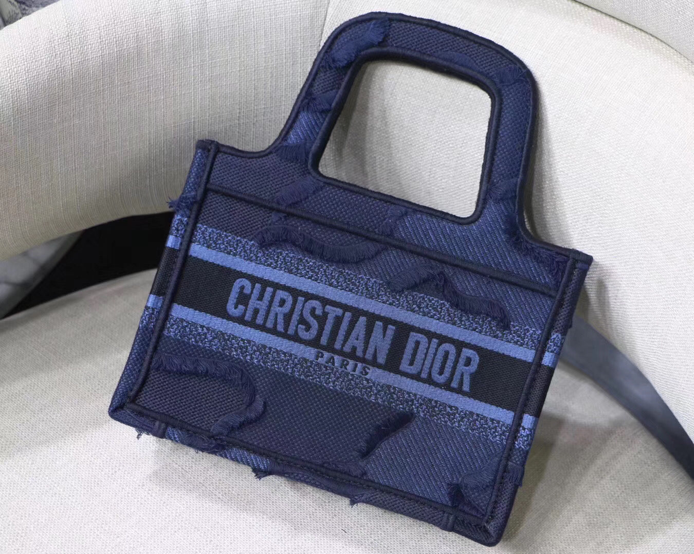 Luxury DiorMini Book Tote Bag In Blue Camouflage Canvas