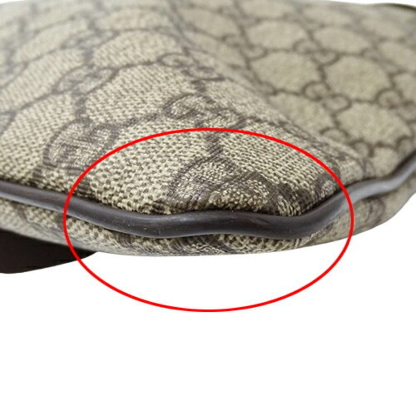 Gucci Gg Canvas  Canvas Shoulder Bag ()