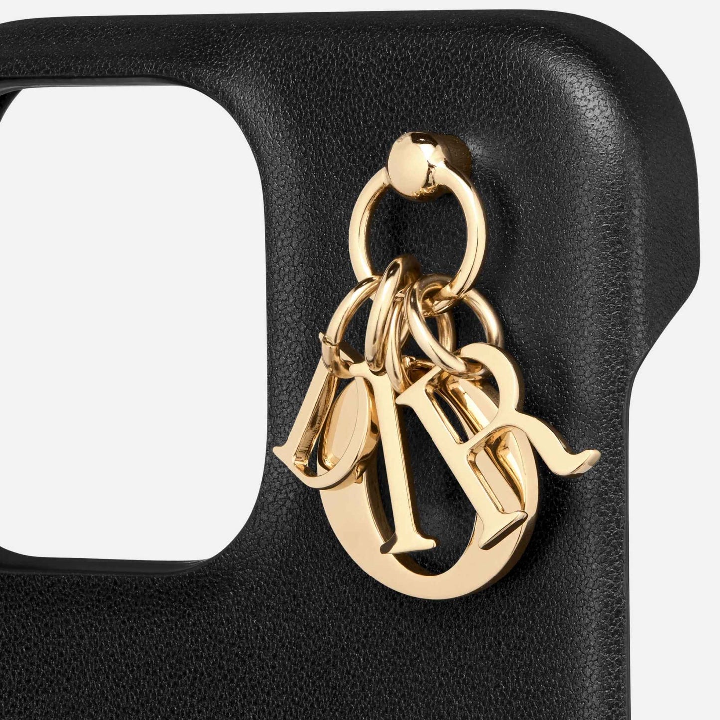 Lady Luxury Dior Cover iPhone 15 Pro Max