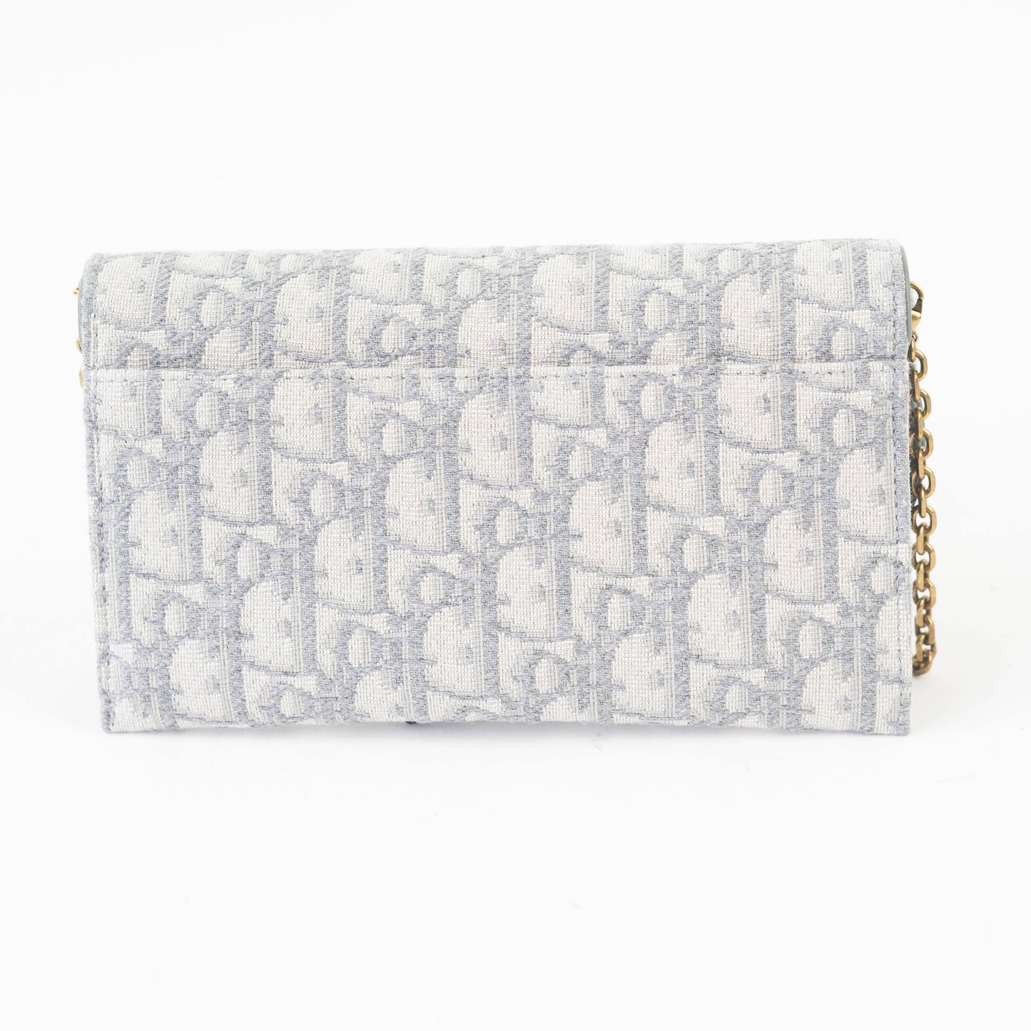 Dior Saddle Wallet on Chain