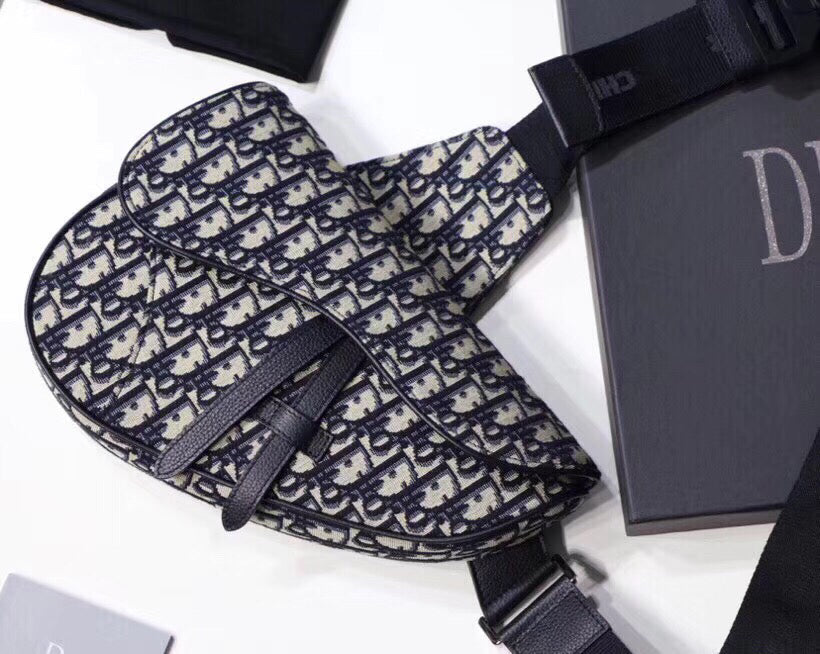 Luxury DiorMen's Saddle Belt Bag In Oblique Canvas