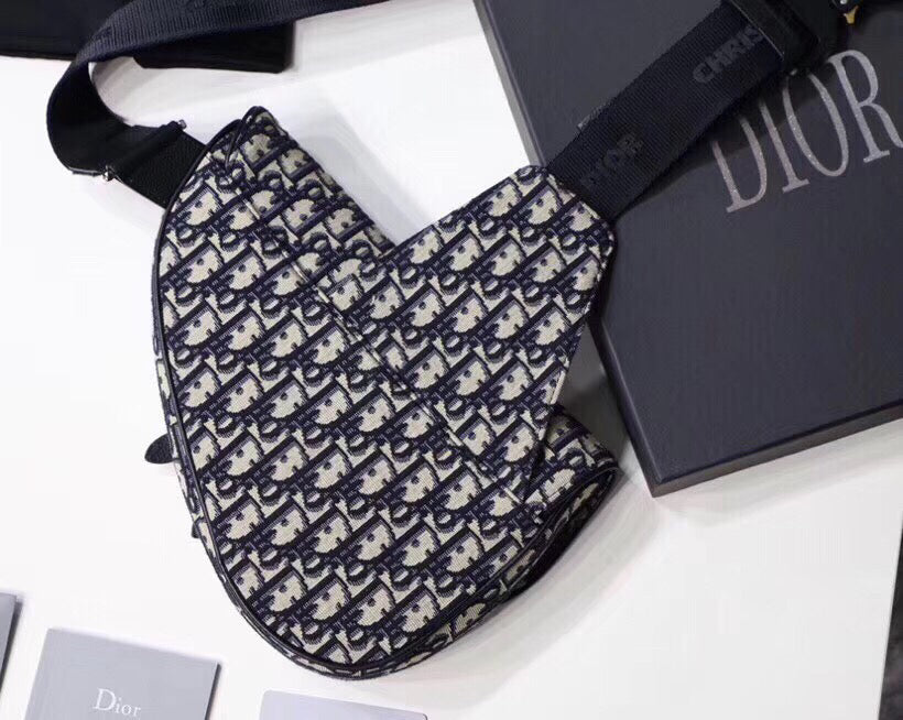 Luxury DiorMen's Saddle Belt Bag In Oblique Canvas