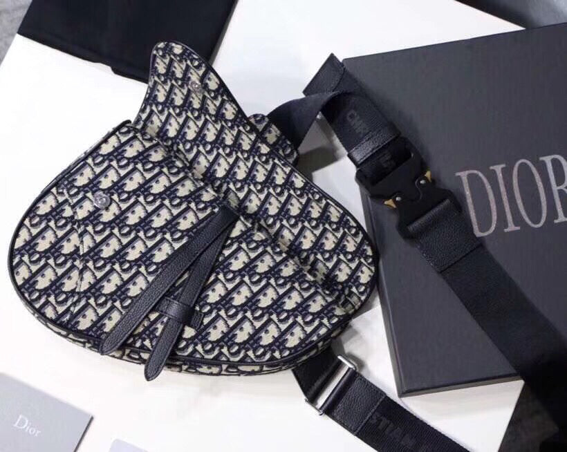 Luxury DiorMen's Saddle Belt Bag In Oblique Canvas