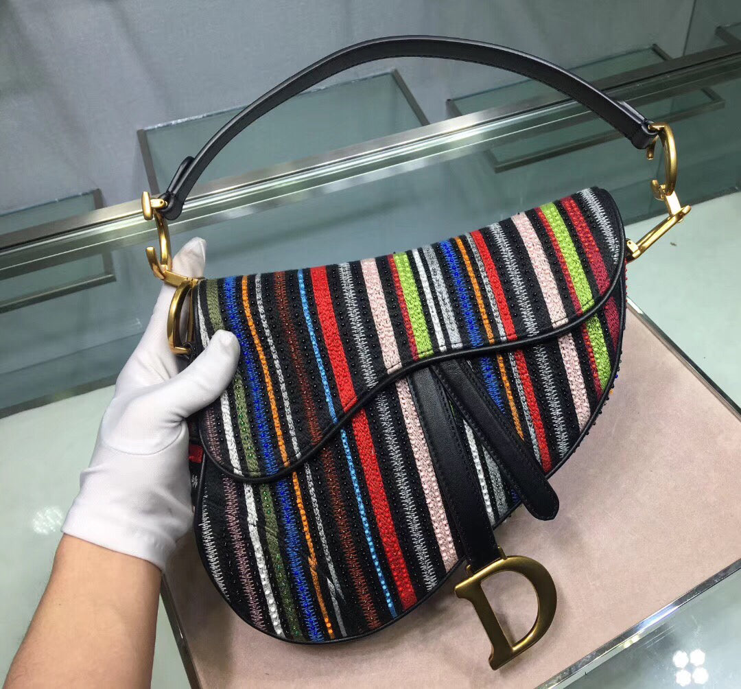 Luxury DiorSaddle Canvas Bag Embroidered With Multi-coloured Stripes