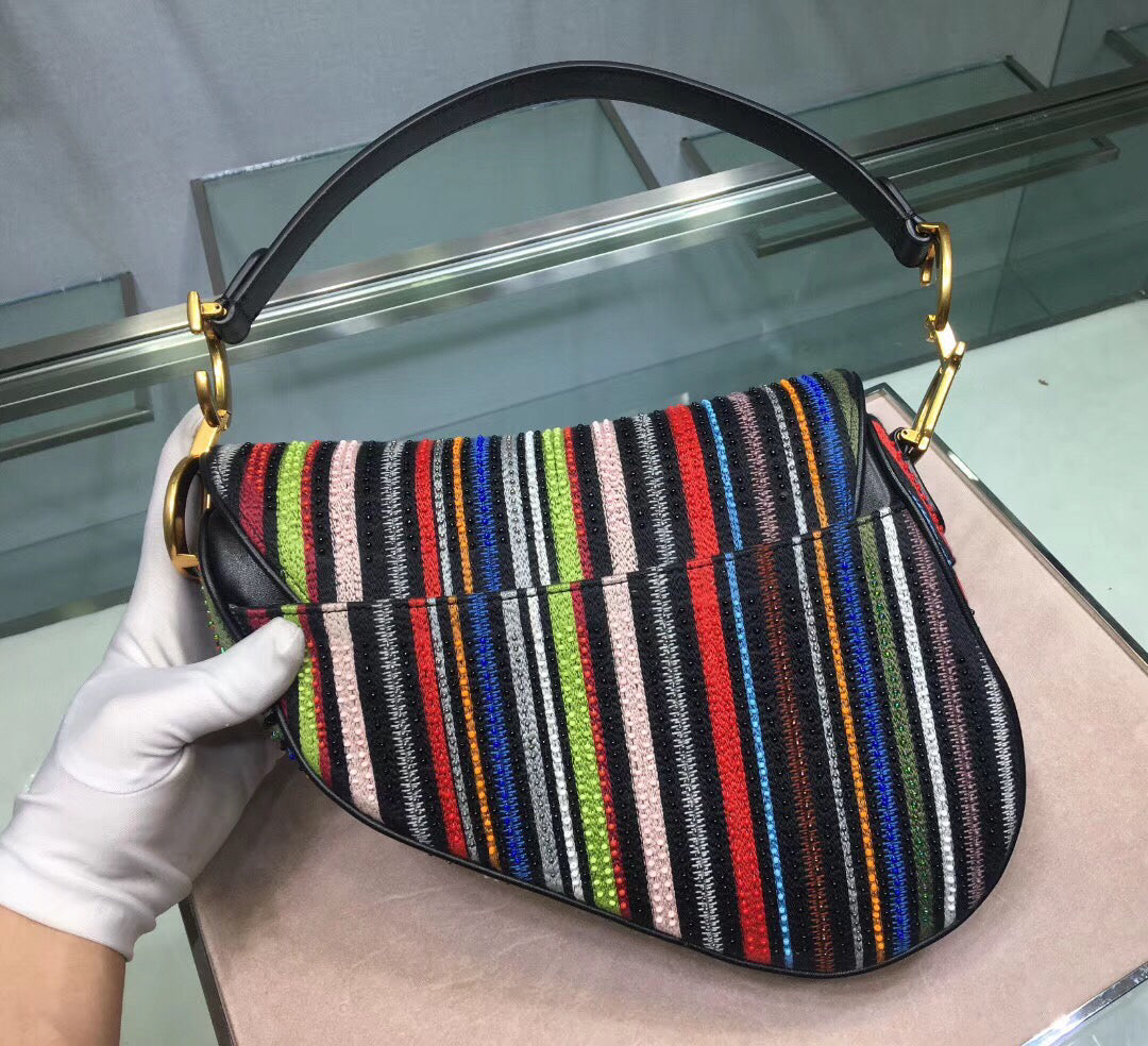 Luxury DiorSaddle Canvas Bag Embroidered With Multi-coloured Stripes
