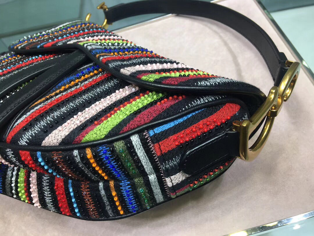 Luxury DiorSaddle Canvas Bag Embroidered With Multi-coloured Stripes