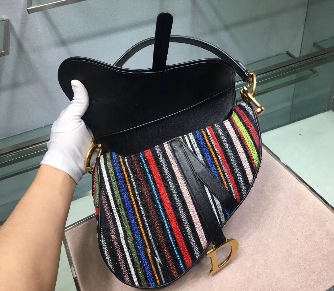 Luxury DiorSaddle Canvas Bag Embroidered With Multi-coloured Stripes