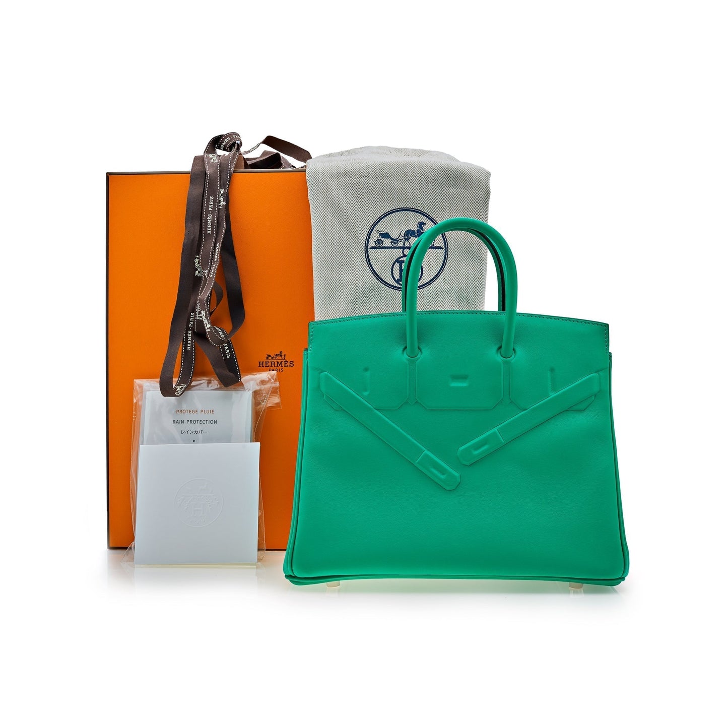 Luxury Hermes Birkin 25 Shadow Bag Menthe Swift Leather