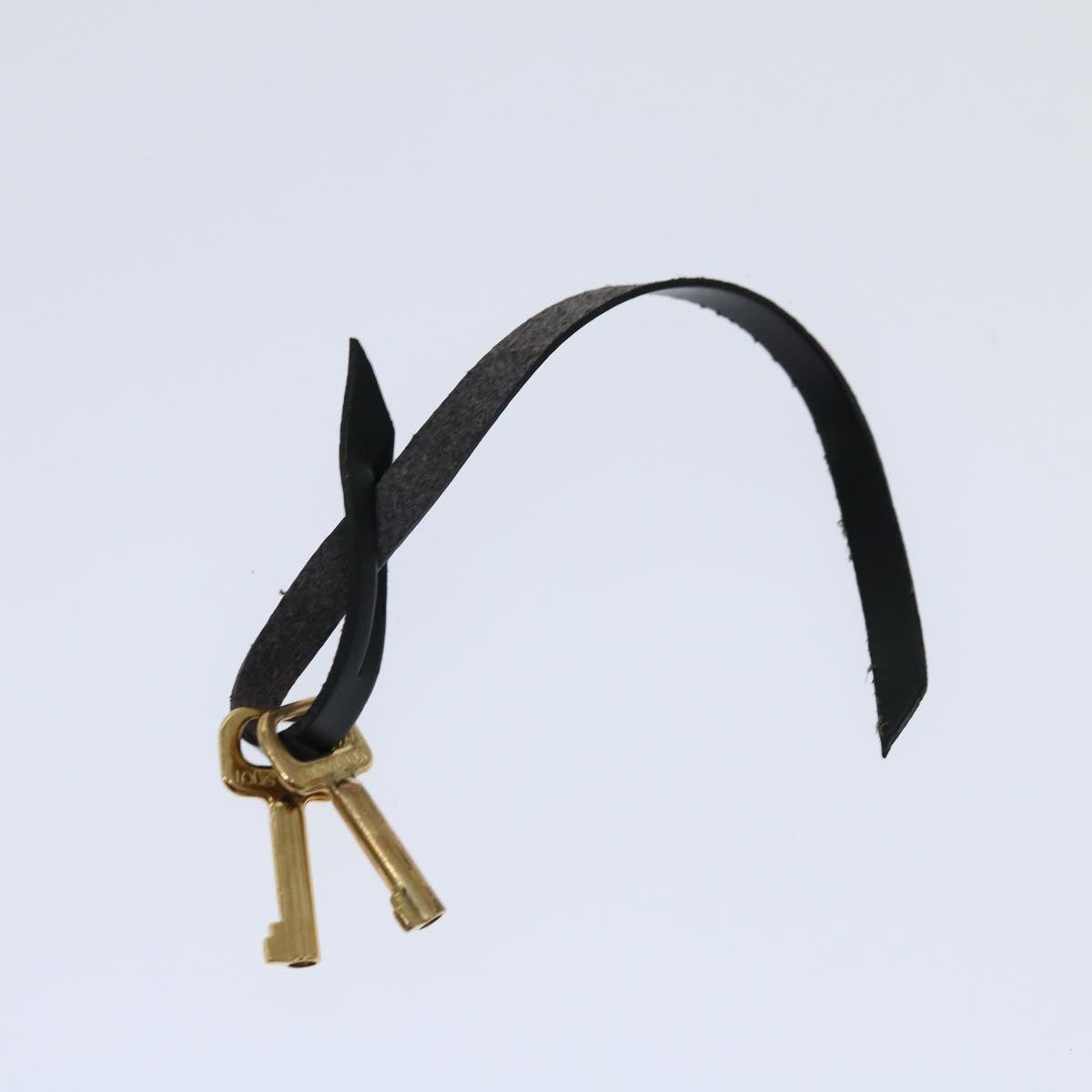 LOUIS VUITTON Epi Serie Dragonne Hand Bag Black M52612 LV ep3907