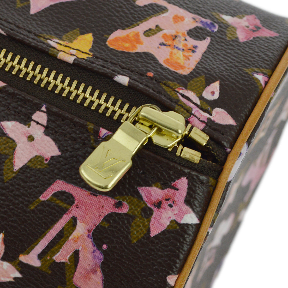 Louis Vuitton 2008 Monogram Watercolor Papillon 30 Handbag M95753