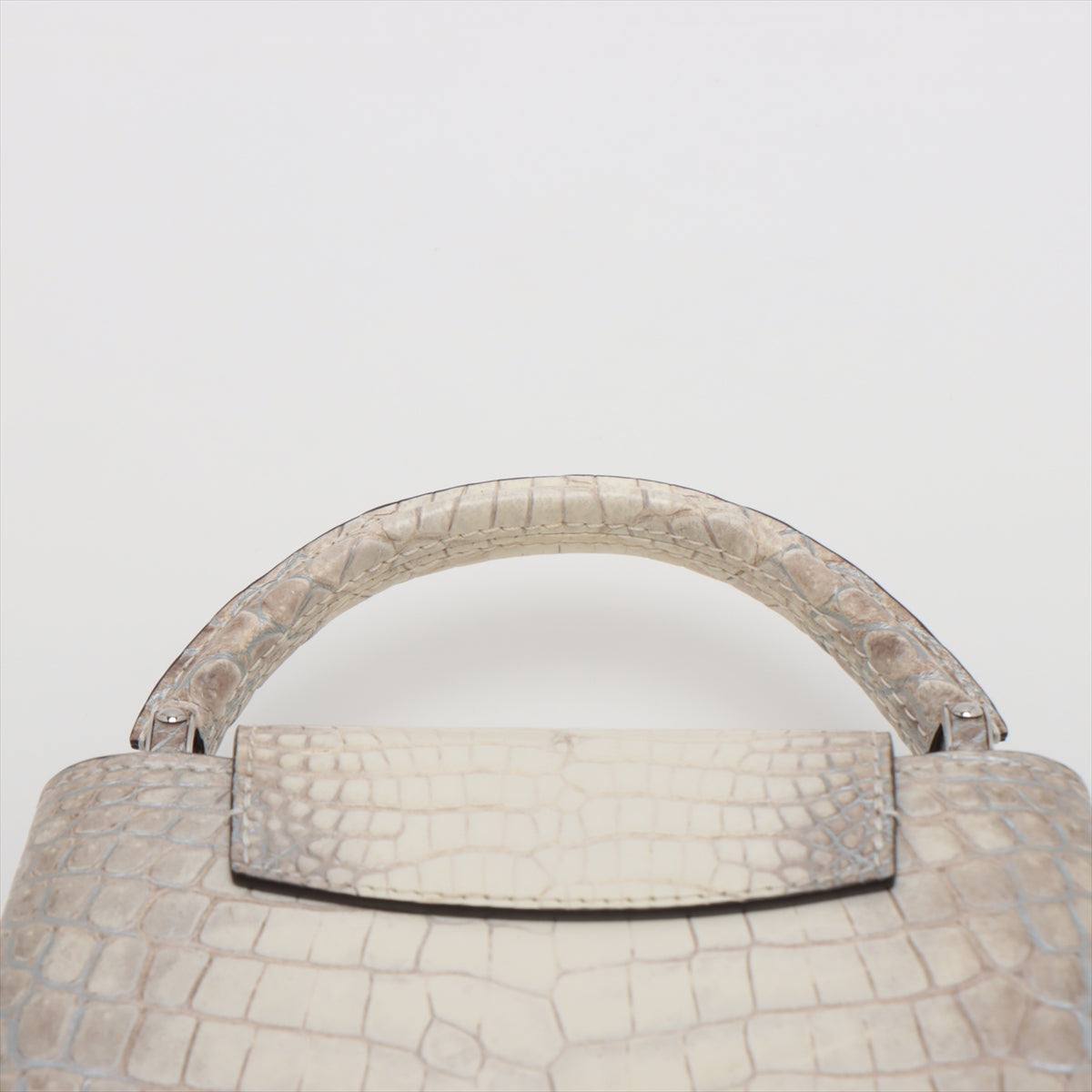 Louis Vuitton Sahara Capsine Mini N99379