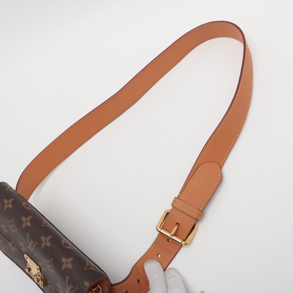 Louis Vuitton Monogram Locky Belt Pouch PM M44667