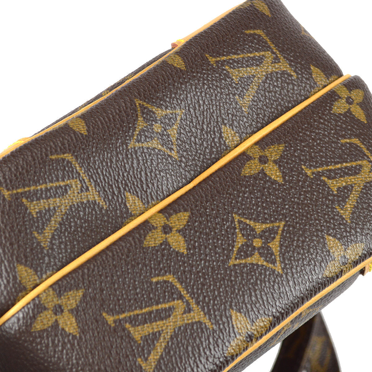 Louis Vuitton 2006 Monogram Amazon M45236