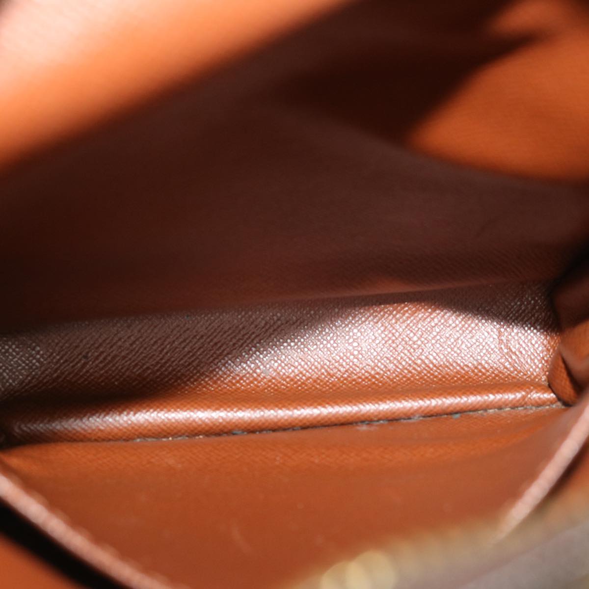 LOUIS VUITTON Monogram Amazon Shoulder Bag M45236 LV fm1479