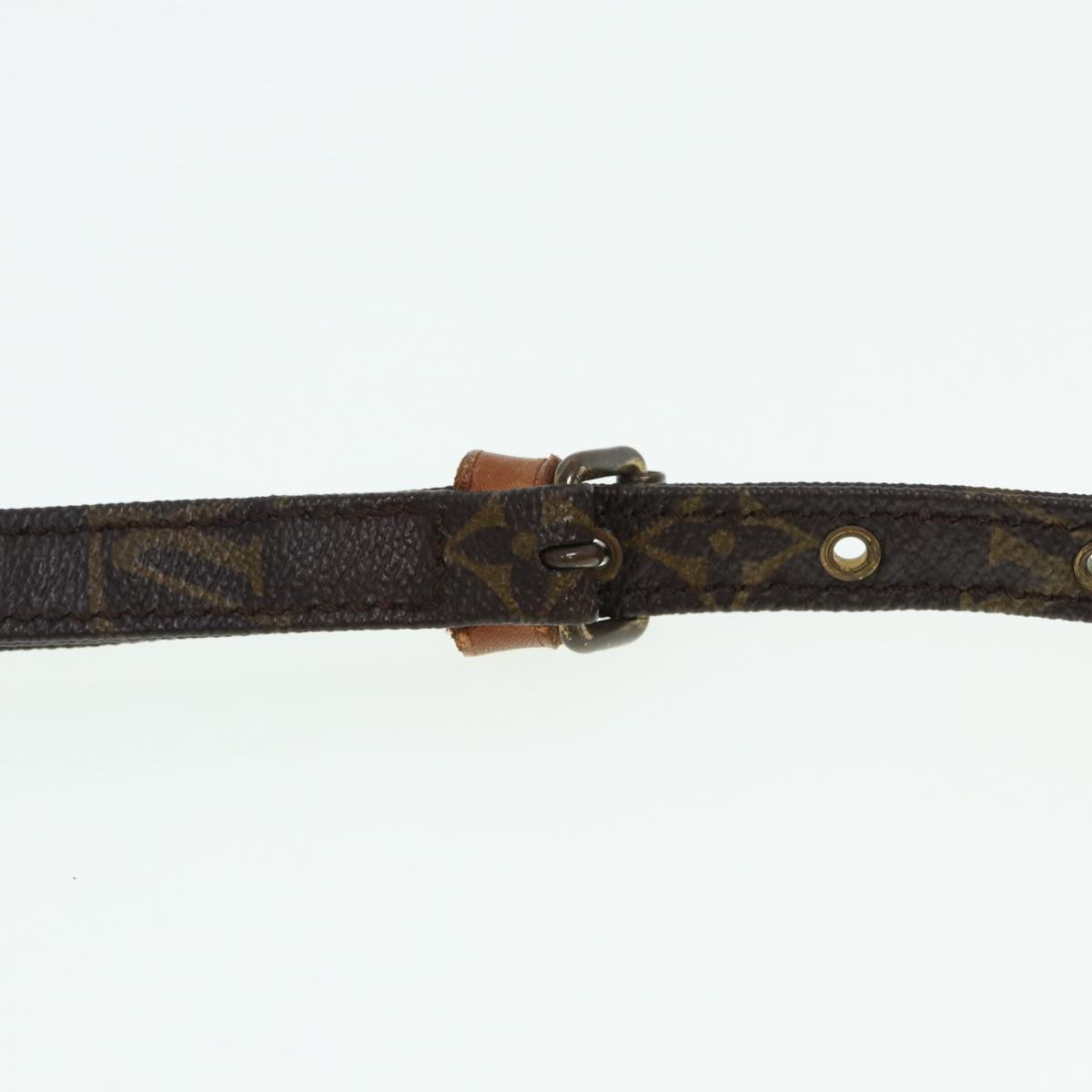 LOUIS VUITTON Monogram Danube Shoulder Bag M45266 LV fm3702