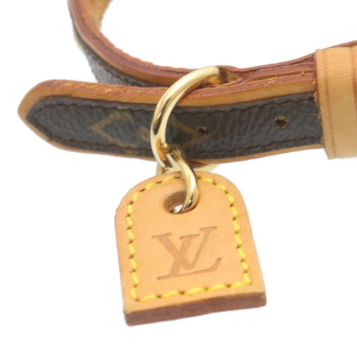 LOUIS VUITTON Monogram Collier Baxter PM Dog Leash M58072 LV am2056g