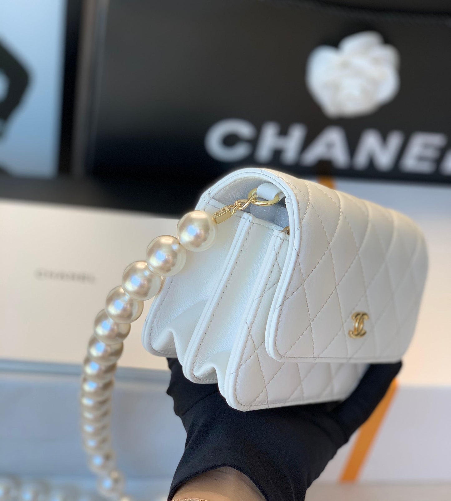Luxury Chanel - Luxury Bag - CHL - 834
