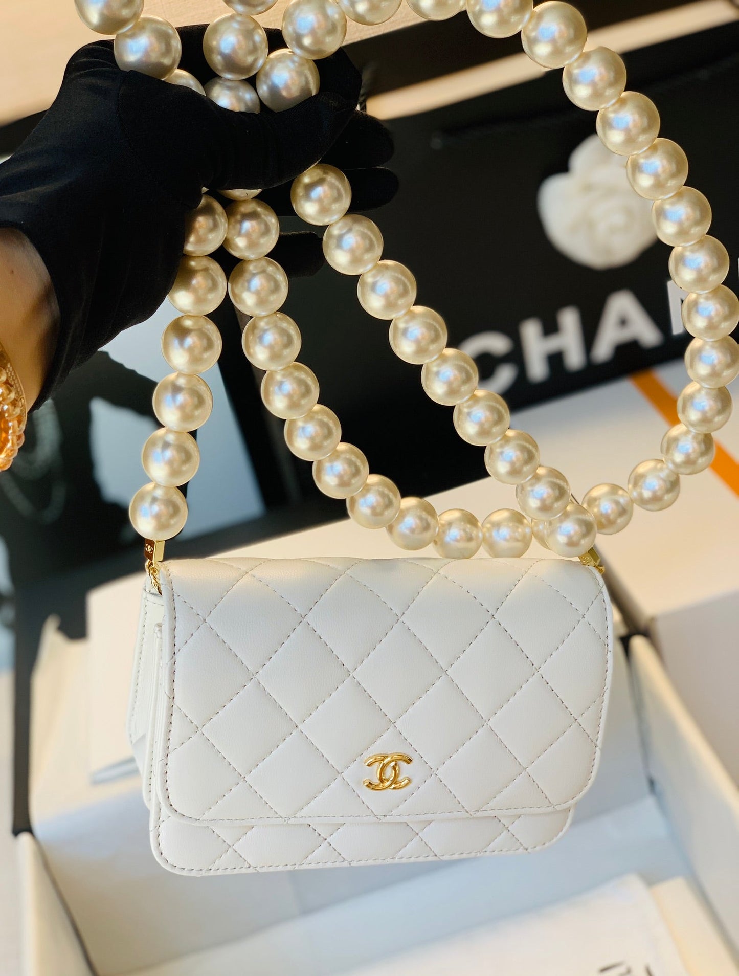 Luxury Chanel - Luxury Bag - CHL - 834