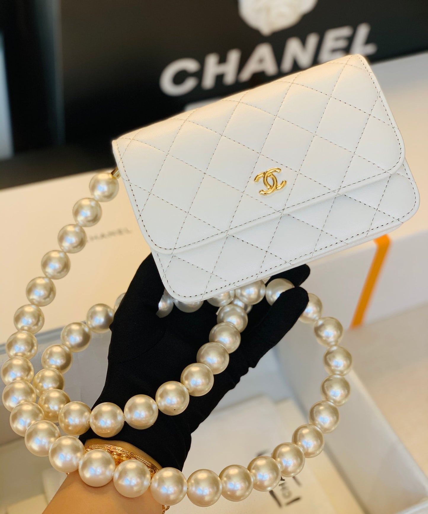 Luxury Chanel - Luxury Bag - CHL - 834