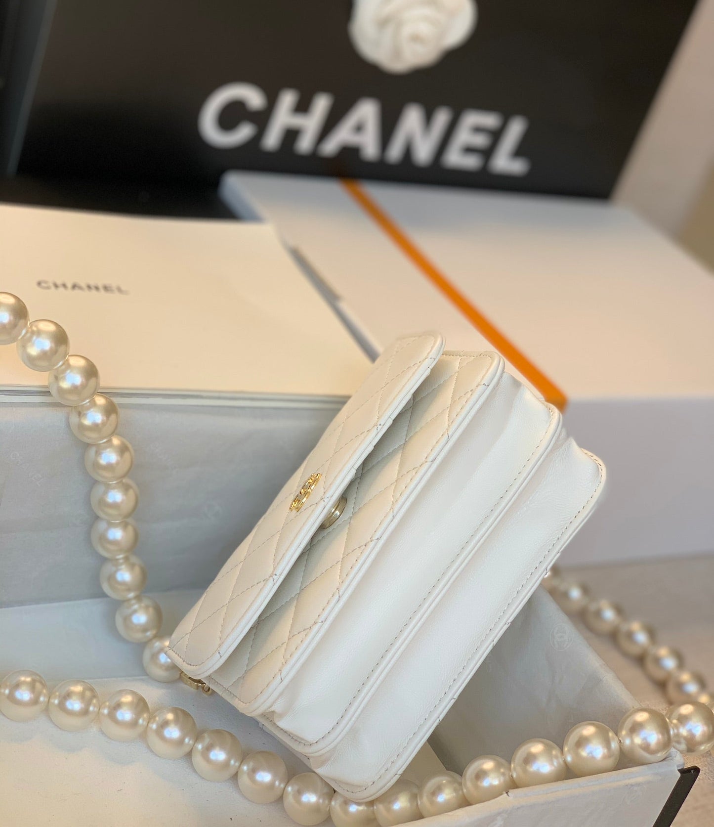 Luxury Chanel - Luxury Bag - CHL - 834