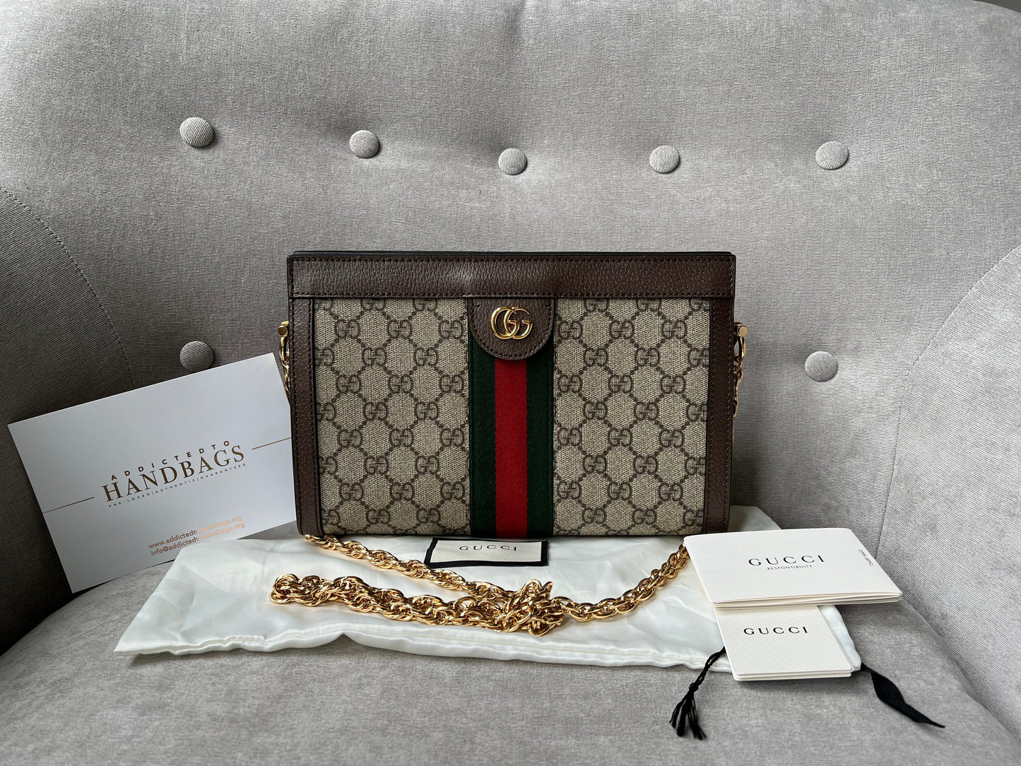 Luxury Gucci Supreme Ophidia Small Shoulder Bag