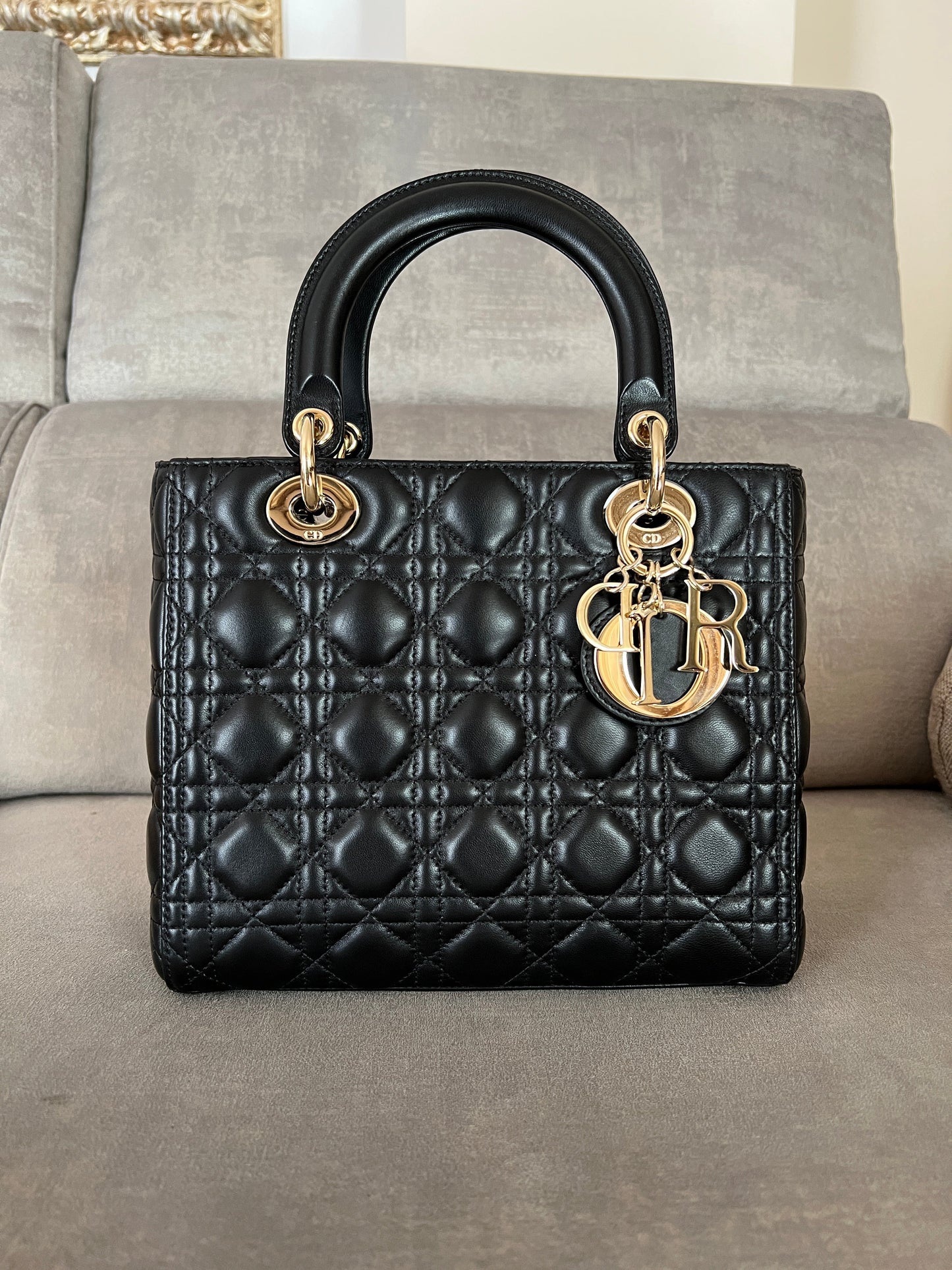 Lady Luxury DiorMedium Bag