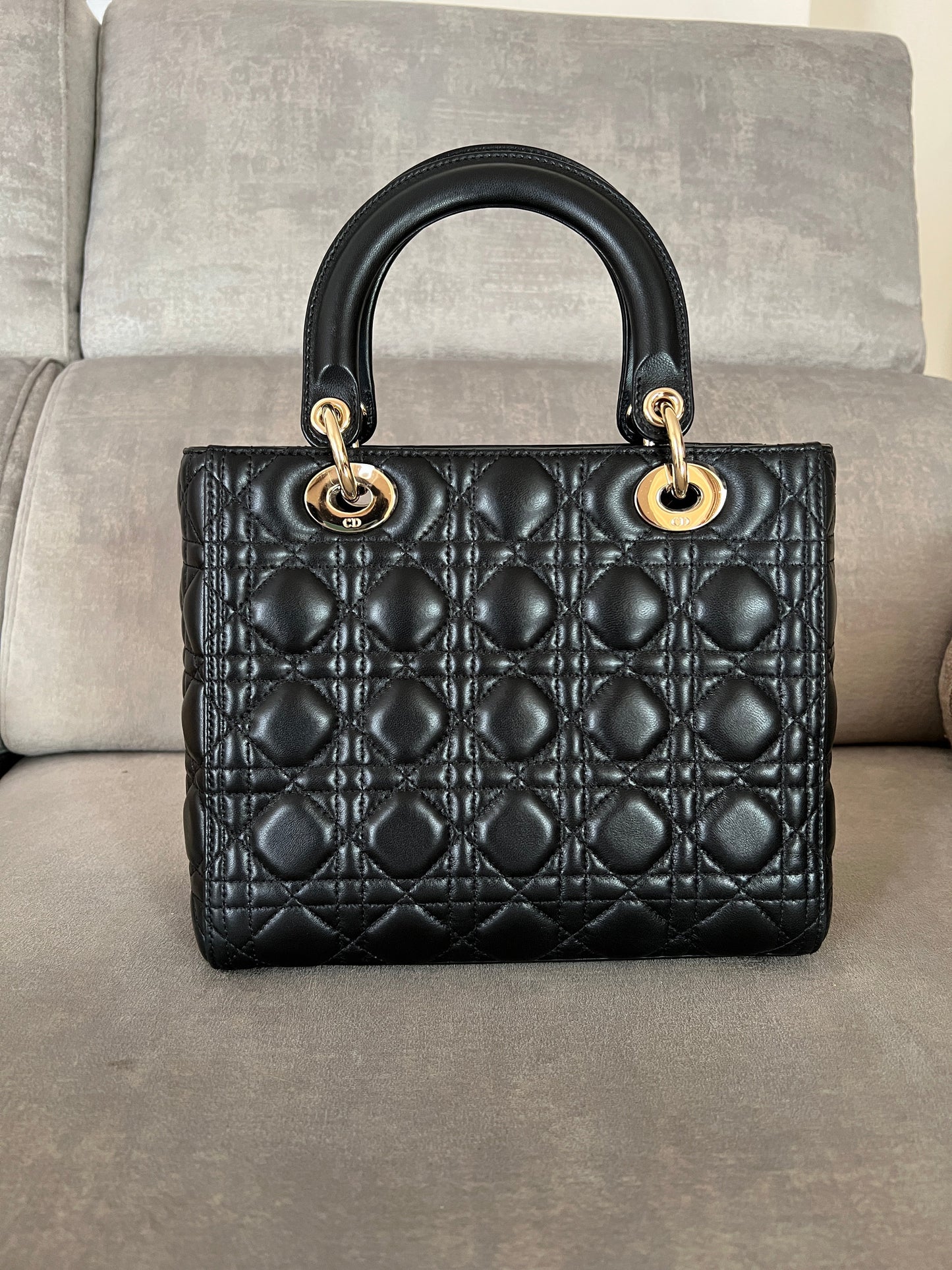 Lady Luxury DiorMedium Bag