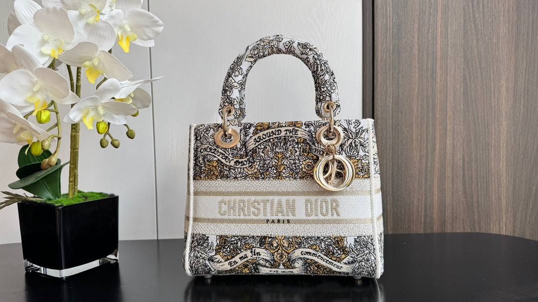 Luxury DiorLady 24 Beige Canvas Around The World Beige