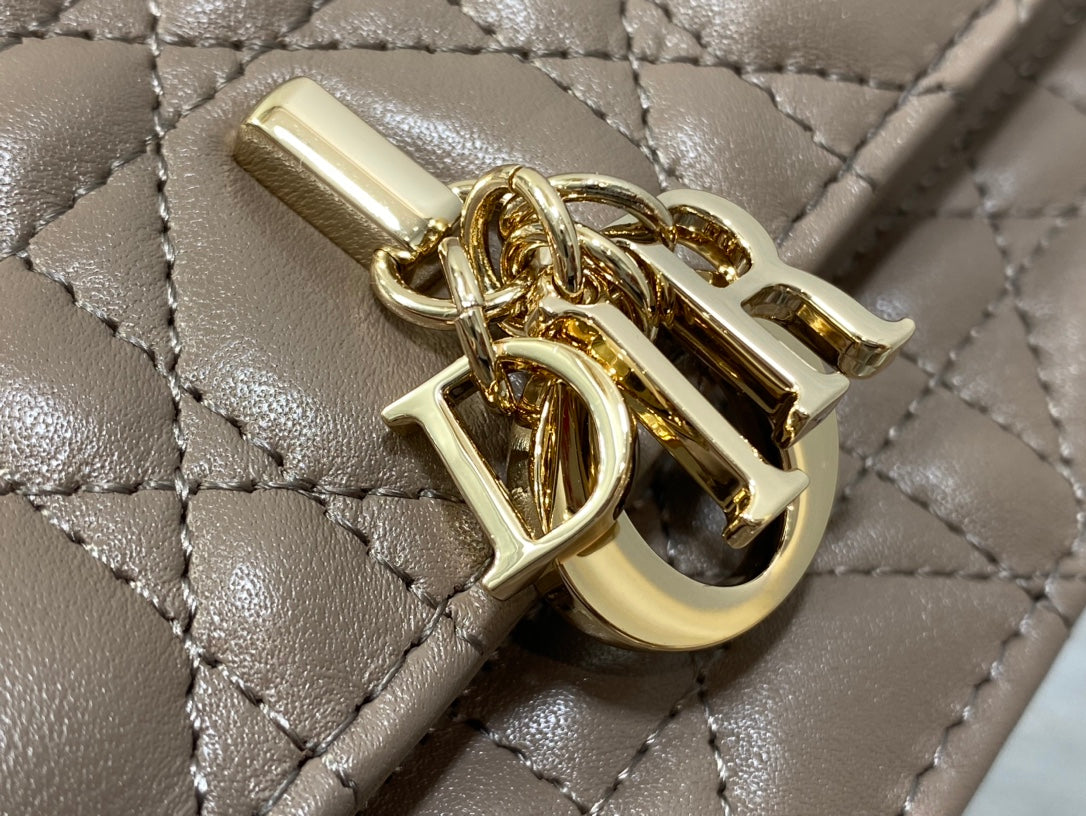 Luxury Diormy mini 21 dark brown lambskin
